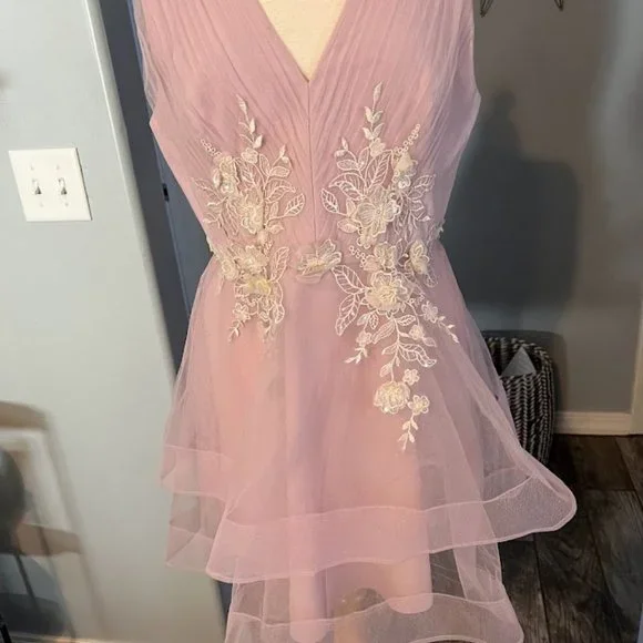 NWT 398 BCBG MAXAZRIA DRESS TIERED PALE PINK EMBROIDERY LACE TULLE. Size 12 - Picture 3 of 6